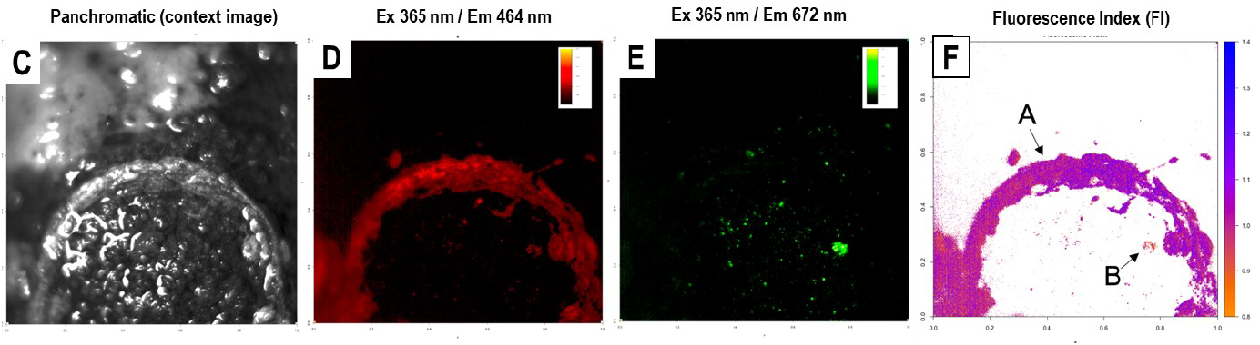 Figure 4: Imaging results from ICARUS predecessor instrument showing panchromatic context image alongside fluorescence images at different wavelengths and fluorescence index map of a cryoconite biofilm